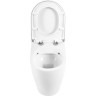 Унитаз приставной безободковый BELBANGO BB105CBR-BB865SC